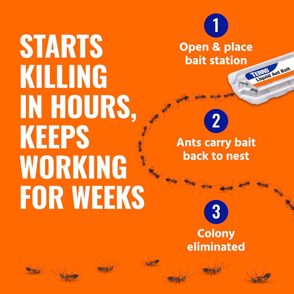 Terro, Ant Killer Bait Stations T300B - Liquid Bait to Eliminate Ants - Bait System - Stations for Effective Indoor Ant Control, 12 Count