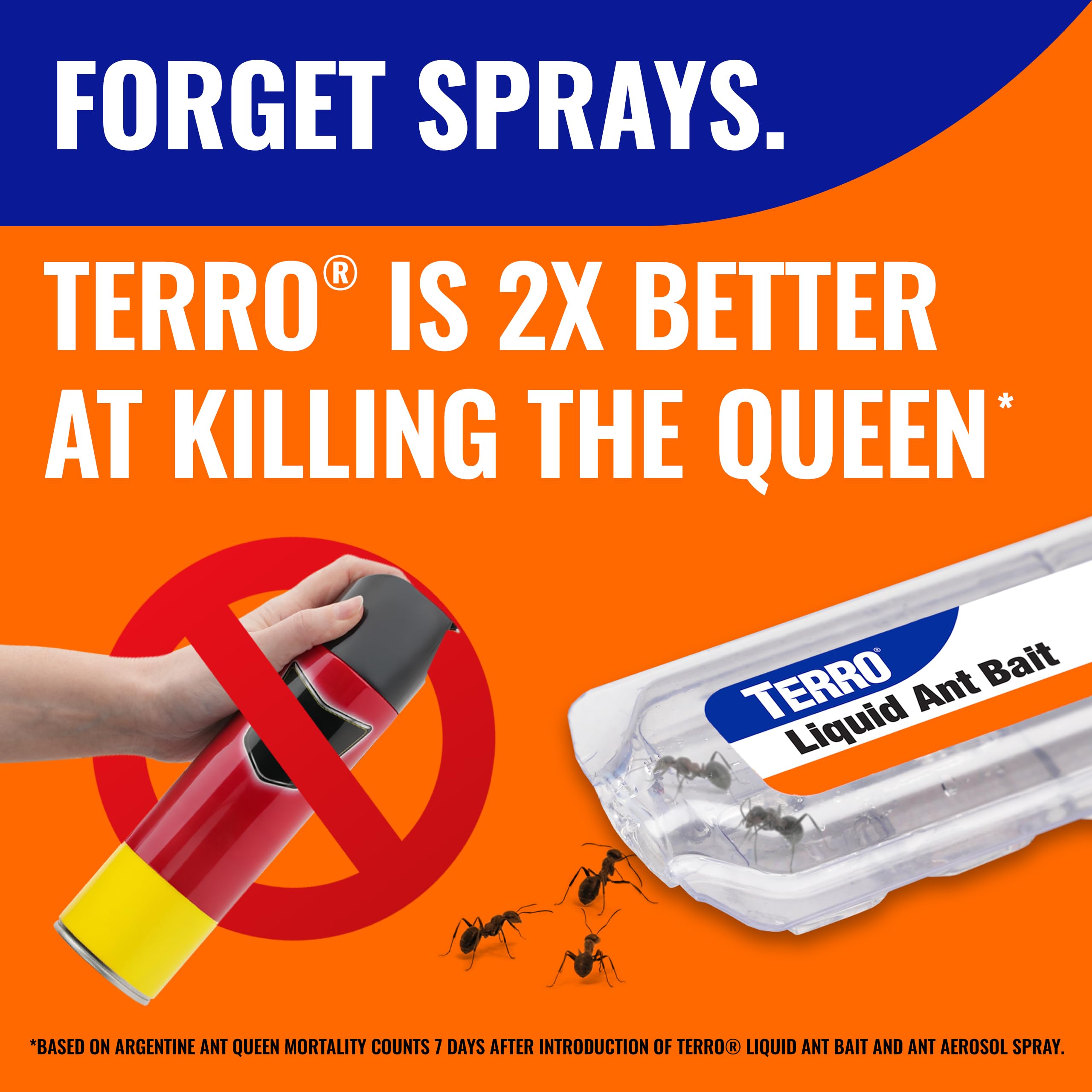 Terro, Ant Killer Bait Stations T300B - Liquid Bait to Eliminate Ants - Bait System - Stations for Effective Indoor Ant Control, 12 Count
