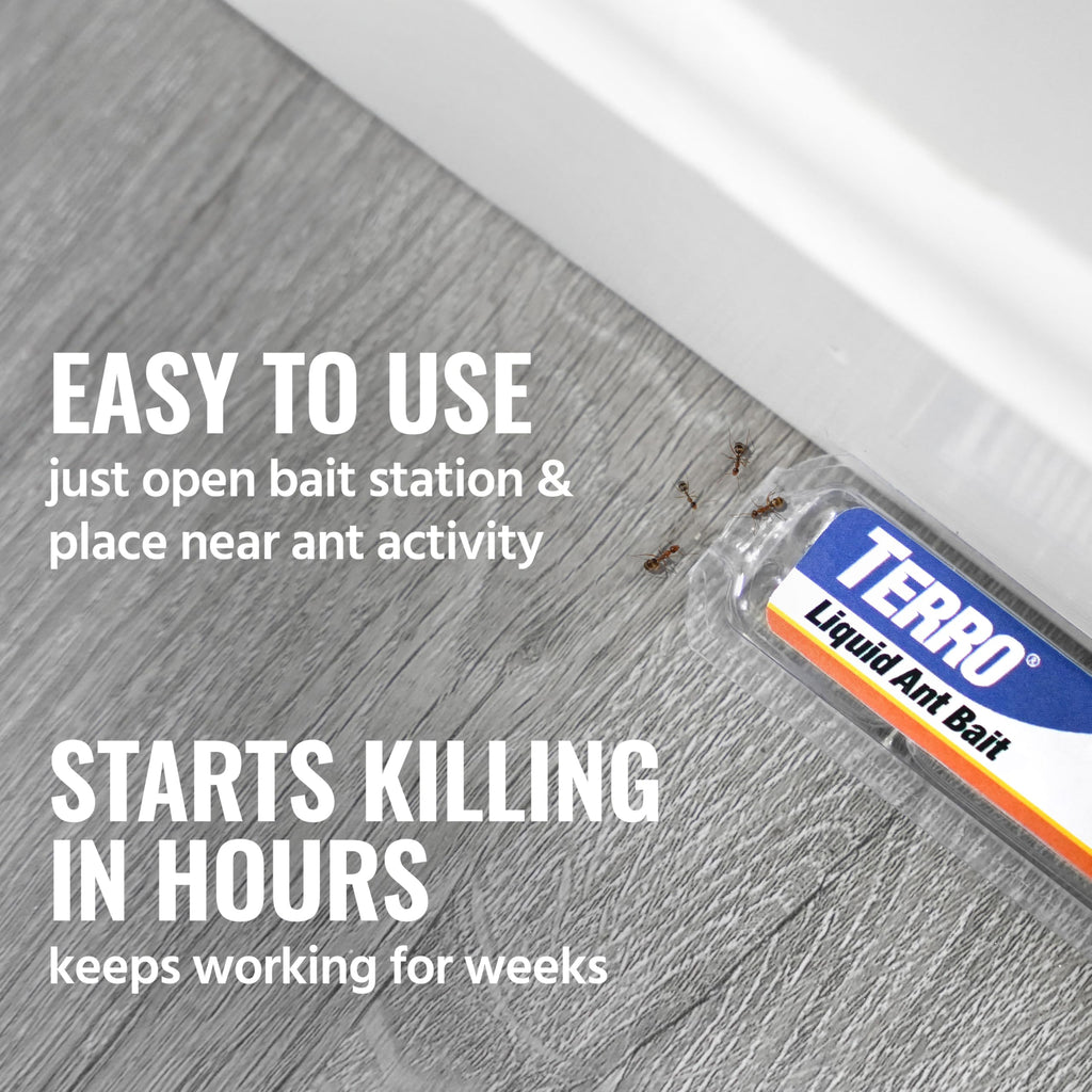 Terro, Ant Killer Bait Stations T300B - Liquid Bait to Eliminate Ants - Bait System - Stations for Effective Indoor Ant Control, 12 Count